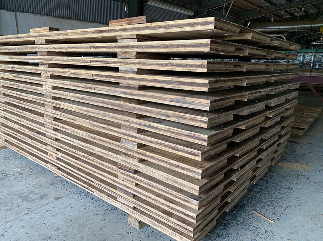 Twelve Things Worth Knowing About Bamboo (From People Who Build With It)